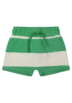 The New mini shorts - Bright Green